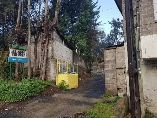 Ankober Guesthouse Piazza image 2